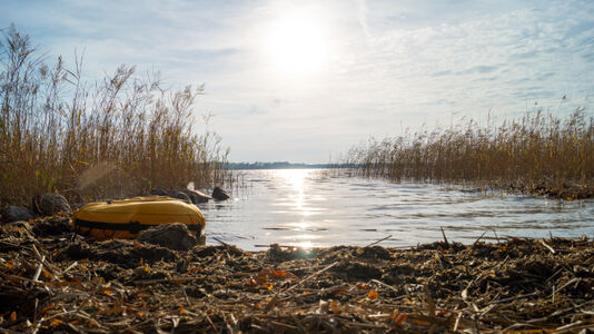 Bild zu Apnoe im Parsteinsee