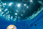 Bild von 'Unterwasser-Fotokurs im TCL'